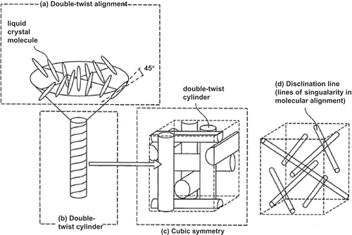 Figure 2. Blue phase LC structure at the microscopic level: (a) double-twist alignment of LC molecules; (b) double-twist cylinder; (c) lattice cubic symmetry formed by double-twist cylinders and (d) disclination lines of singularity in molecular alignment.