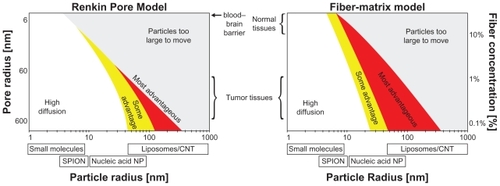 Figure 1 A map of when dynamic magnetic shift (DMS) is predicted to be advantageous over diffusion alone for poorly perfused liver metastases (for a sample 0.5 mm diameter tumor, therapeutic particles are assumed to have a 45-minute in vivo residence time). For two common types of tissue models, a Renkin Pore modelCitation19,Citation20,Citation24 or a Fiber-Matrix model,Citation19,Citation20,Citation25 the coloring shows when DMS treatment will improve drug delivery to the tumor. Here, “High diffusion” refers to the region where diffusion alone should suffice. It is the region where particle diffusion is predicted to create a concentration of therapy in all tumor cells that is ≥85% of the concentration of therapy in the bloodstream. “Some advantage” (yellow) and “Most advantageous” (red) is where diffusion will not suffice and DMS has the potential to improve therapy concentration to all cells in the tumor by >17% and >100%, respectively, compared with diffusion alone. Thus, DMS will be advantageous for mid-range 10–500 nm particle sizes, when the particles are big enough that diffusion alone is no longer effective but small enough that they can be magnetically moved through tissue. Particles of this size include heat shock protein cages (<16 nm),Citation26 polymeric micelles (<50 nm),Citation27 colloidal suspensions of albumin-Taxol (Abraxane, 130 nm),Citation28 and functionalized carbon nanotubes (0.1–4 μm).Citation29