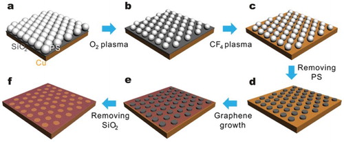 Figure 4. Nanosphere-templated hG growth. Reproduced from Ref. [Citation43] with permission from Nature Publishing Group.
