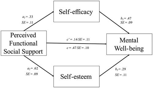 Figure 1. A parallel mediation model displaying the associations between functional social support, self-efficacy, self-esteem and mental well-being.