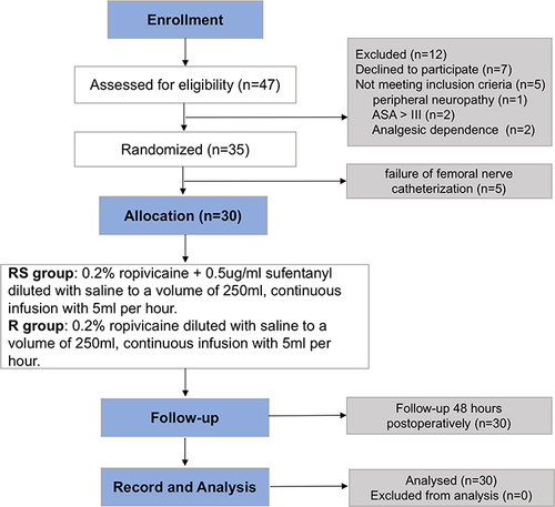 Figure 1 Enrollment and randomization of the subject.