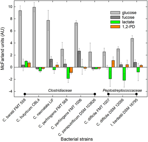 Figure 5. Turbidity of selected strains of Clostridiaceae and Peptostreptococcaceae in YC medium.