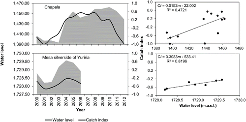 Figure 8 Correlation between water level and catch index in Lake Chapala using the general catch index and in Lake Yuriria using the mesa silverside catch index.