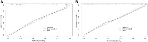 Figure 3 (A) Calibration curve in the development cohort. (B) Calibration curve in the validation cohort. The x-axis and y-axis indicate the predicted and observed probability of chemotherapy-induced neutropenia, respectively. The long-dashed line represents a perfect prediction through the use of an ideal model. The short-dashed line and the black line indicate the performance of the apparent and bias-corrected model, respectively.