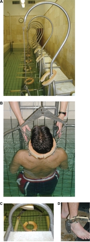 Figure 2 The WHT equipment consisting of A) the steel arch named “lyre” and two armpit support bars, on which B) the patient is suspended, C) the collar covered by plastic spongy material, and D) the extra lead weights applied on the ankle.