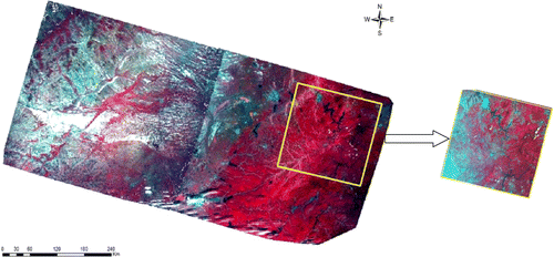 Figure 4.  Comparison between a single false color image of HJ-1 satellites and that of Landsat TM.