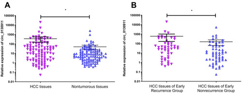 Figure 2 (A) The expression level of circ_0130911 in HCC tissues is higher than that in corresponding adjacent nontumorous tissues. (B) The expression of circ_0130911 in the HCC tissues of the early recurrence group is higher compared to that in HCC tissues of the early nonrecurrence group (*p<0.05).