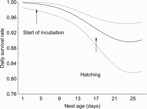 Figure 3. Changes in daily nest survival across the 27-day nest cycle (for nests initiated on the 1st of June) estimated from the model Stage + T2. Dashed lines represent 95% confidence intervals for the DSR.