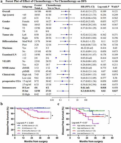 Figure 3. Immunoscore (IS) and the benefit from adjuvant chemotherapy. Forest plot representing the predictive value of response to chemotherapy (disease-free survival [DFS]) in different groups according to clinical parameters and IS levels (a). Kaplan-Meier curves for DFS in patients with or without chemotherapy in different IS groups (b). Kaplan-Meier curves for DFS in patients with IS-Int+Low stratified by clinical risk and chemotherapy (c). (*) indicates significant log-rank P-value, *P < .05; ns, non-significant.