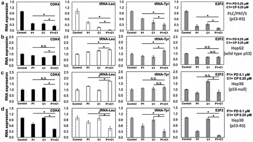 Figure 6. Combination of PD with CP more significantly suppresses the expression of c-Myc target genes at RNA levels.Cells as indicated below were treated with either PD or CP alone or in combination for 16 h and harvested for RNA extraction and q-PCR analyses for specific c-Myc target genes as indicated in the figure. GAPDH was used as negative control. Three independent experiments were performed in duplicates. Differences between the combination treatment and PD or CP alone for each target were analyzed using either Student’s t-tests (comparisons between two groups) or ANOVA (statistical analysis for 3 groups) (n = 3, * P < .05; n.s. P> .05). (A) PLC/PRF/5 cells (p53-RS); (B) HepG2 cells (wild-type p53); (C) Hep3B cells (p53 null); (D) Hep3B cells (p53-RS).