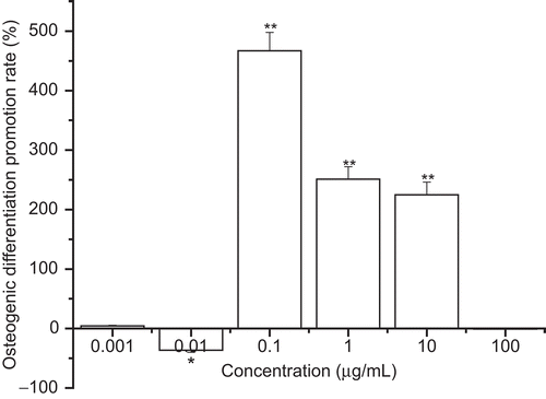 Figure 3.  Effect of WECML on the osteogenic differentiation of BMSCs (*P <0.05, **P <0.01 versus control, n = 6). The BMSCs were cultured in a culture medium, after being induced by osteogenic supplement (10−7 M dexamethasone, 5 mM β-glycerophosphate, 50 μg/mL ascorbic acid) and treated with WECML at final concentrations of 0.001, 0.01, 0.1, 1, 10, and 100 μg/mL for 2 days. The medium was removed; ALP activity and protein were measured by an ALP kit and a micro-protein assay kit respectively. The osteogenic differentiation promotion rate was calculated according to the formula: (ALP activity treated/ALP activity control−1) × 100%.