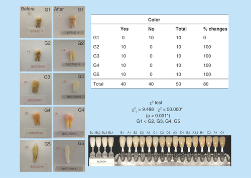 Figure 4.  Color analysis table.All samples showed changes in color, with high level of significance. All experimental groups have modified their color, except the control group. Figure shows the VITA® scale.