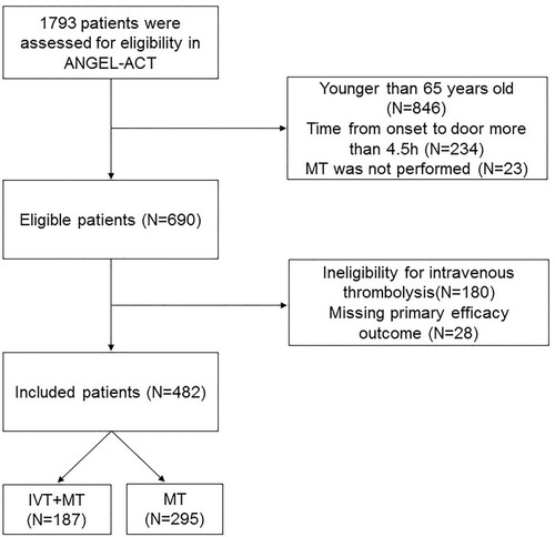 Figure 1 Flow chart of the patient inclusion steps.