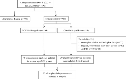 Figure 1 Flow chart of the enrolled participants.