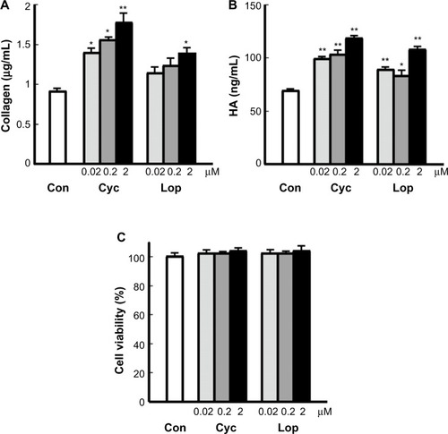 Figure 1 Effects of Aloe sterols on (A) collagen and (B) HA production in human dermal fibroblasts. Cells were incubated for 48 hours in the absence or presence of 0.02–2 μM Cyc and Lop. The collagen and HA contents of the culture supernatant were determined with a soluble collagen assay and an HA ELISA assay kit. Cell viability was assessed by WST-8 (C).