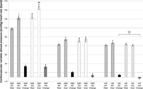 Figure 3 A direct comparison of the during-exercise cardiovascular responses to MINT for normotensive women (NT) and women with above-optimal resting blood pressures (AO).