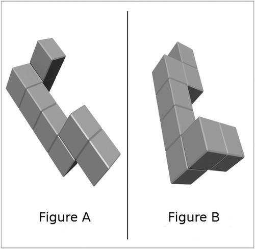 Figure 4. An example of the task from the visual comparison sub-test.
