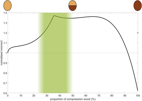 Figure 4. Maximum moment depending on area proportion of compression wood in a branch cross section as also schematically indicated above the graph; light colour corresponds to OW and dark colour to CW. The shaded area shows relative amounts of CW found in softwood branches (Low Citation1964, Harris Citation1977, Spicer and Gartner Citation1998, Li et al. Citation2014).