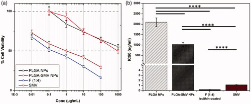 Figure 4. Cell viability study: (a) Dose response (inhibitory) curve, and growth inhibitory concentration (IC50) values after 24 h of void PLGA NPs, PLGA-SMV conjugate NPs, selected formula F (1:4) NPs, and free SMV. Data are represented as mean ± SD (*p < .05, **p < .01, ***p < .001, ****p < .0001 and n ≥ 3).
