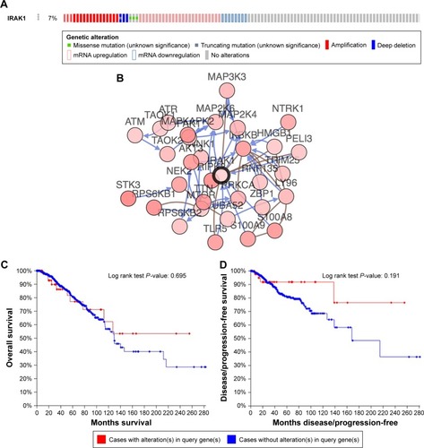 Figure 5 The alteration of IRAK1 and its interaction in altered neighboring genes from the cBioPortal database.Notes: (A) IRAK1 gene alteration. In this cohort, 7% (56/816) of invasive breast cancer cases exhibited IRAK1 gene alteration. (B) Network of IRAK1 and altered neighboring genes. Analysis of the overall survival (C) and disease-free survival (D) of invasive breast cancer patients with and without IRAK1 gene alteration. No statistically significant difference was identified.