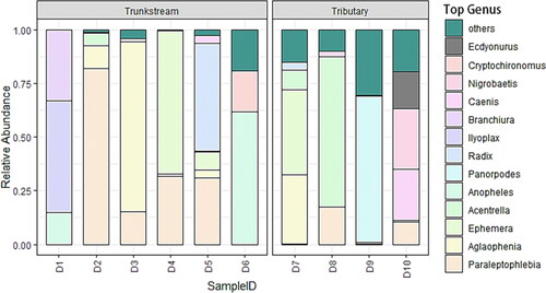 Figure 4. Environmental DNA surveys on the genus level species composition of macroinvertebrates at various locations in the Dayang River.