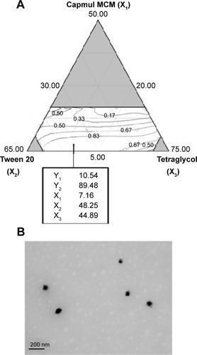 Figure 4 Overlay plot and TEM image of the optimized ATV-loaded SMEDDS formulation.Notes: (A) An overlay plot for the effect of different variables. Values in contour lines represent the desirability. Values in the box represent the percentages of three components and the predicted responses for the optimized SMEDDS. (B) TEM image of the optimized SMEDDS (100,000× magnification).Abbreviations: ATV, atorvastatin calcium; SMEDDS, self-microemulsifying drug delivery system; TEM, transmission electron microscopy.