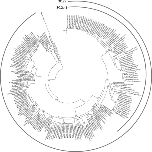Fig. 2 Phylogenetic trees showing the relationship between influenza A(H3N2) viruses from Hong Kong in 2017, other representative A(H3N2) viruses, and recommended A(H3N2) viruses for influenza vaccinesCitation12, Citation13.The phylogenetic tree was constructed using the Maximum Likelihood method based on the Hasegawa–Kishino–Yano model. All sequences were obtained from the Global Initiative on Sharing All Influenza Data (GISAID) Database (Supplementary Table S1)