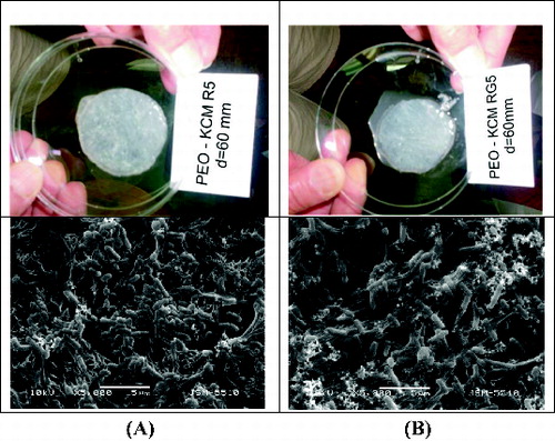 Figure 4. Macrostructure and SEM analysis of the PEO-KCM R5 (A) and PEO-KCM RG5 (B) biofilter treated with phenol.