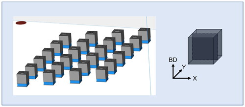 Figure 1. Distribution of samples on the build plate and a schematic of BD-X cross-section used for analysis.