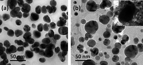 Figure 4. TEM images of synthesized pure and surface-functionalized TiO2 nanoparticles (a) and TiO2-loaded PEEK/PMMA nanocomposite (b) samples.