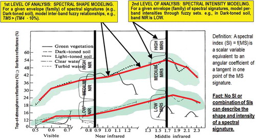 Figure 5. Examples of land cover (LC) class-specific families of spectral signatures in top-of-atmosphere reflectance (TOARF) values which include surface reflectance (SURF) values as a special case in clear sky and flat terrain conditions. A within-class family of spectral signatures (e.g., dark-toned soil) in TOARF values forms a buffer zone (hyperpolyhedron, envelope, manifold). The SIAM decision tree models each target family of spectral signatures in terms of multivariate shape and multivariate intensity information components as a viable alternative to multivariate analysis of spectral indexes. A typical spectral index is a scalar band ratio equivalent to an angular coefficient of a tangent in one point of the spectral signature. Infinite functions can feature the same tangent value in one point. In practice, no spectral index or combination of spectral indexes can reconstruct the multivariate shape and multivariate intensity information components of a spectral signature.