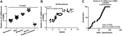 Figure 2 IL-37 mRNA expression level in PBMC is positively correlated with the RA progression. (A) IL-37 mRNA expression level in PBMC comparison in the 5 groups of participants. P<0.0001 is the One-way ANOVA analysis among the 5 groups. (B) Correlation analysis of IL-37 mRNA expression level in PBMC and the DAS28 in all RA patients. (C) ROC of IL-37 mRNA expression level in PBMC and the DAS28 in all RA patients. Y axis in (A) and (B) is the 2−ΔΔCt value of IL-37 normalized to the 2−ΔΔCt value of β-actin.