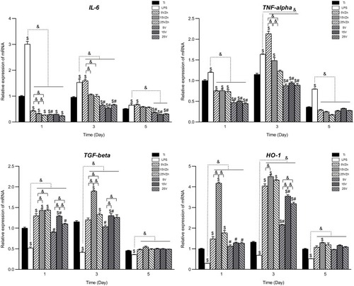 Figure 10 Gene expression changes of inflammation-associated cytokines assayed by qPCR.Notes: Data are expressed as the mean ± standard deviation (n=3). $Denotes the statistical significance between Ti and other groups. #Denotes the statistical significance between each Zn-incorporated TNT group and its TNT counterpart group. &Denotes the statistical significance between different labeled groups. ($P<0.05, #P<0.05, &P<0.05, ANOVA.)Abbreviation: qPCR, quantitative real-time polymerase chain reaction.