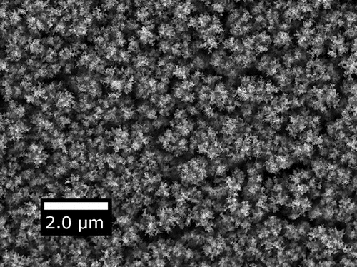 Figure 4. Top view of a typical deposit depicting nanoparticle island formation. Particles are 15 nm anatase TiO2 deposited with Pe = 7.7.