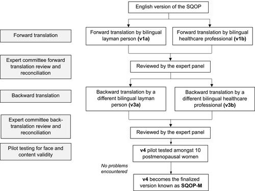 Figure 1 Translation process following the ISPOR guidelines.