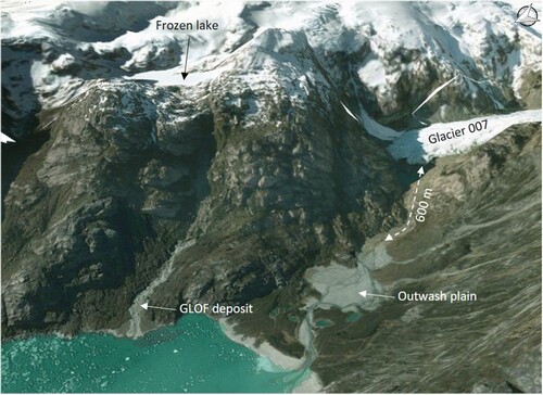 Figure 5. Bing Satellite Image (2019) over ALOS PALSAR DEM view in 3D, east of Seno Glaciar. The terminus of glacier 007 is at ∼160 m a.s.l. (DEM elevation). Glacial meltwater is actively flowing 600 m down valley before producing a well-developed outwash plane. Northeast of Glacier 007, a frozen lake is at ∼485 m a.s.l. and a GLOF deposit is located downhill. Scoured bedrock is observed as gray polished surfaces in the whole area.