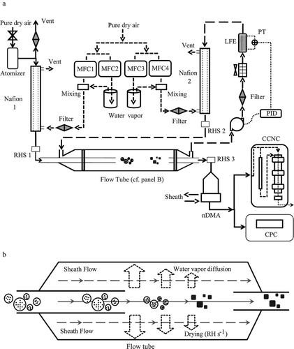 FIG. 1 Schematic diagram of the experimental apparatus. (a) Aerosol generation by nebulization, adjustment of aerosol RH in Nafion 1 to high RH, drying of aerosol RH in the laminar-flow tube (see also panel b), selection of particle mobility diameter by nDMA, and measurement of activated CCN fraction. (b) Illustration of the drying of the aerosol flow by radial water-vapor diffusion into the sheath flow and the subsequent crystallization of the particles in the aerosol flow. The circles with solid dots represent spherical solution drops in a humid core flow, and the solid cubes represent the crystallized particles in a core flow. The dynamic shape factor of these cubes depends on the drying rate. Key: CCNC, cloud condensation nucleus counter; CPC, condensation particle counter; nDMA, nano differential mobility analyzer; MFC, mass flow controllers; PID, proportional integral derivative controller; PT, pressure transducer; RHS, relative humidity sensor.
