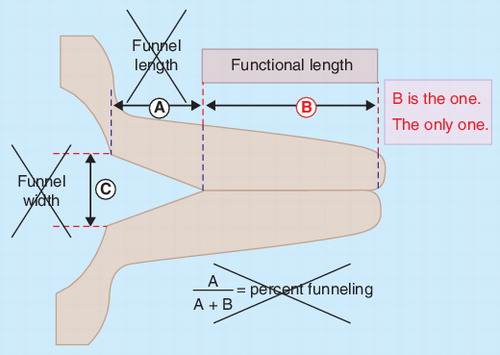 Figure 2. Measurements of the cervix with funneling.(A) Funnel length, (B) functional length and (C) funnel width.Adapted with permission from Citation[20].