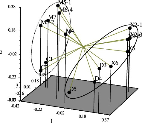 Figure 3. Principal coordinates analysis for ISSR markers of P. betulinus accessions.