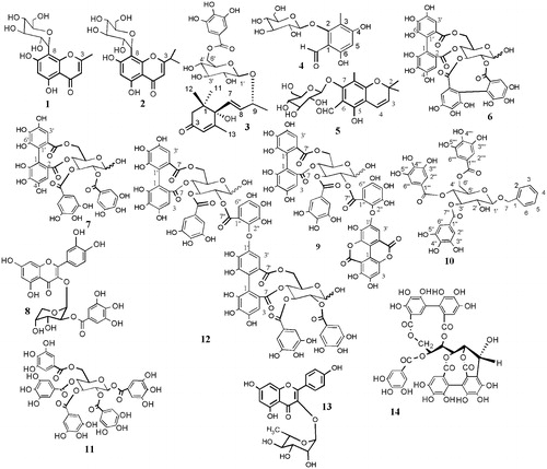 Figure 1. Structures of the isolated compounds.