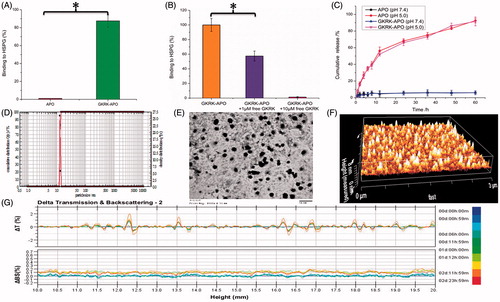 Figure 1. Physicochemical characterization of GKRK-APO. Binding of Cy5.5-labeled APO or Cy5.5-labeled GKRK-APO to immobilized HSPG integrin was assessed by measuring the fluorescence of the wells following washing to remove unbound samples (A). Binding of Cy5.5-labeled GKRK-APO (2 μM) to immobilized HSPG was significantly inhibited by the free GKRK peptide in a dose-dependent manner (B). In vitro release of VCR from GKRK-APO and APO at pH 5.0 and pH 7.0 at 37 °C, respectively (C). Particle size distribution of VCRloaded GKRK-APO (D). Morphological appearance of VCR-loaded GKRK-APO based on TEM (E) and AFM (F). Stability of VCR-loaded GKRK-APO in the presence of 10% FBS. The transmission and backscattering profiles were measured at each time point using a Turbiscan Lab® Expert analyser (G). The data are presented as the means ± SD (n = 3). * indicates P< 0.05.