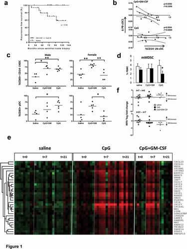 Figure 1. Added local and systemic effects of GM-CSF, co-delivered locally with CpG-B, in early-stage melanoma. Results shown are from patients receiving either a saline placebo (saline), or two administrations of CpG-B (CpG, 1 mg) or CpG combined with GM-CSF (CpG+GM, 1 mg + 100 µg) at day −7 and day −2 before sentinel lymph node biopsy (SNB), or GM-CSF alone (GM-CSF), 4 doses of 3µg/kg divided over the four days leading up to SNB. All were administered at the excision site of the primary tumor. (a) Recurrence-free survival of patients who were treated with GM-CSF with or without CpG-B (n = 14) versus patients that received saline (n = 15, p value is listed). (b) Correlation between changes in BDCA3/CD141+ peripheral blood cDC (cDC1) frequencies (between day −7 and 0) and CD1a−CD11chiCD14− cDC (CD14-LNDC) rates in the SLN of patients who received CpG+GM or CpG. (c) CD14− LNDC and pDC activation (by CD83) in men and women after local treatment with CpG or CpG+GM. (d) Pre- (day −7, open bars) and post-treatment (day 0, closed bars) frequencies of monocytic myeloid derived suppressor cells (mMDSC) in peripheral blood of patients receiving either saline, CpG, or CpG-B+ GM-CSF. (e) Transcriptional profiling reveals post-treatment induction of a type-I Interferon (IFN) response signature in peripheral blood mononuclear cells in patients receiving CpG or CpG+GM. (f) Changes in IRF8 transcript levels (relative to GAPDH) between t = 7 and t = 0 and t = 21 and t = 7 for saline (n = 9); CpG (n = 9); CpG+GM-CSF (n = 5). Statistical significance: * P < .05; ** P < .01; either by One-way ANOVA with Tukey post-hoc test or by paired two-sided student’s T test