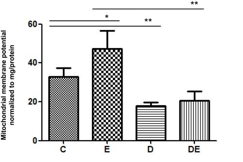 Figure 2 T2DM significantly impairs MMP of skeletal muscle. Groups C, E, D and DE. *P < 0.05, **P < 0.01 (n = 6).