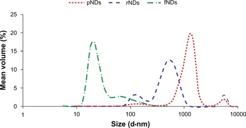 Figure 6 Size distributions of pristine carboxylated nanodiamonds (pNDs), reoxidized nanodiamonds (rNDs), and lysine-functionalized nanodiamonds (fNDs) in water, as measured by dynamic light scattering.Note: Each curve is derived from three measurements (n ≥ 10).