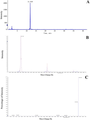 Figure 4. The chart to show how delphinidin-3-O-monoglucoside was found. A: a mass spectrometry detected time peak intensity. B: relative molecular weight peak intensity and its hydrogenation peaks intensity. C: two stage mass spectrometry peak intensity.