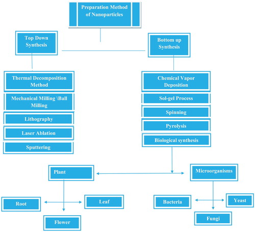 Figure 7. Top down and bottom up synthetic methods of nanoparticles.