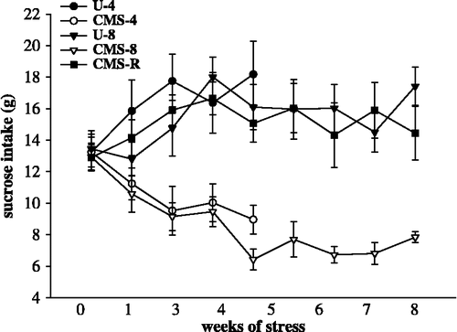 Figure 2  Sucrose intake during the experiment. Influence of 4- and 8 weeks of chronic stress on sucrose consumption. The data were analyzed by two-way ANOVA for repeated measures, followed by Bonferroni post hoc group comparisons (Table II). U-4, unchallenged 4 weeks (n = 10); CMS-4, chronic mild stress 4 weeks (n = 10); U-8, unchallenged 8 weeks (n = 8); CMS-8, chronic mild stress 8 weeks (n = 8), and CMS-R, chronic mild stress resilience (n = 8). Data are mean ± SEM.