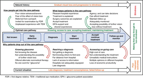 Fig. 1 A conceptual framework for the glaucoma care pathway.