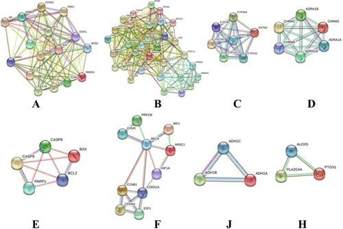 Figure 3 Cluster of compound–Type 2 diabetes mellitus PPI network. Eight clusters were identified in compound–Type 2 diabetes mellitus PPI network (A, B, C, D, E, F, G, and H) stand for clusters 1, 2, 3, 4, 5, 6, 7, and 8).