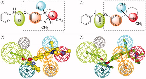 Figure 4. 2D structures of phenserine (a) and (−)-meptazinol phenylcarbamate (b) with color backgrounds highlighting common chemical features, and 3D overlays of phenserine (c, yellow, in ball-and-stick) and (−)-meptazinol phenylcarbamate (d, green, in stick) with the best pharmacophore model. (Pharmacophoric features: green, HBA; orange, RA; red, PI; cyan, HYD; gray, Xvol.)